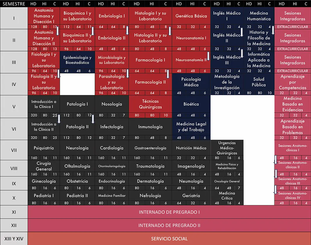 mapa curriculular de la licenciatura en medicina modalidad mixta-virtual